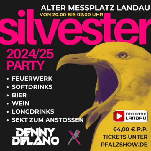 SILVESTER - Alter Messplatz - Landau - Di 31.12.2024