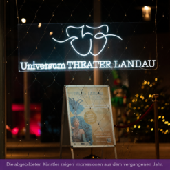 Palais Landau - Dinner & Show - Mi 02.12.2026 – Bild 11