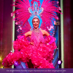 Palais Landau - Dinner & Show - Mi 02.12.2026 – Bild 14