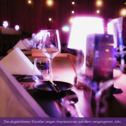 Palais Landau - Dinner & Show - Mi 02.12.2026 – Bild 15